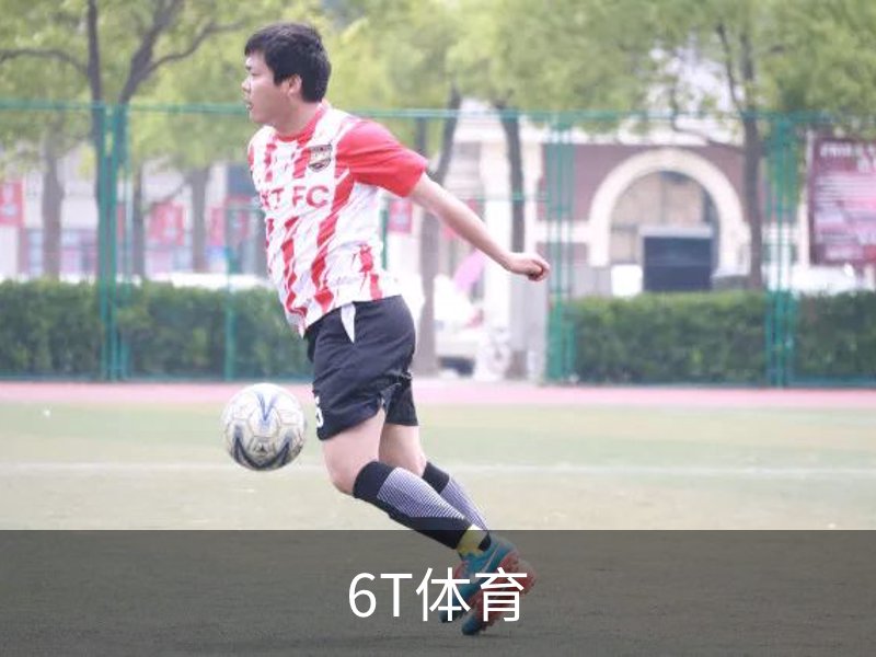 6T体育概况